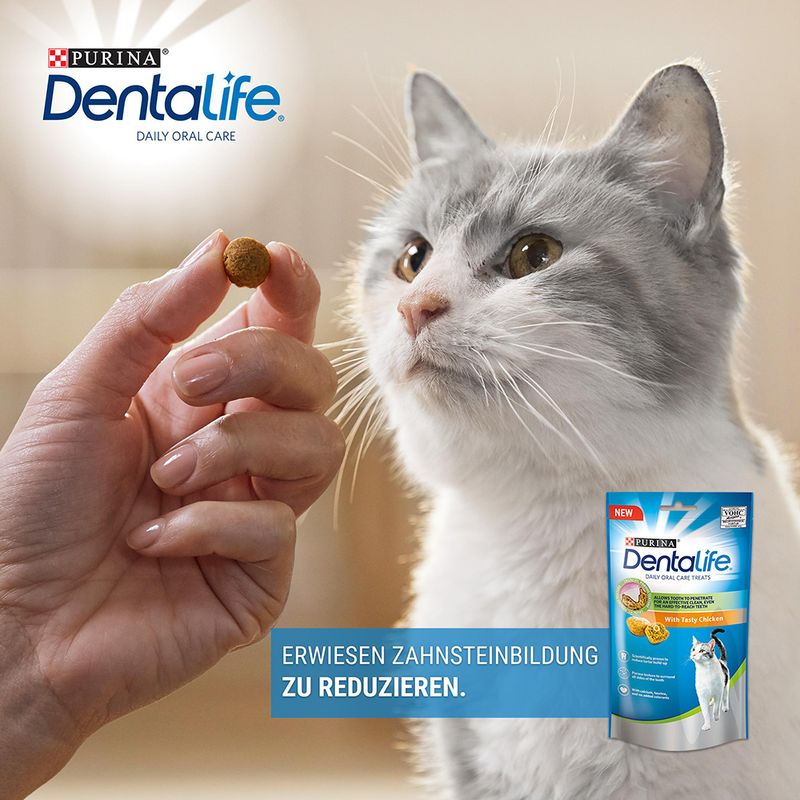 PURINA Dentalife Tägliche Katzen-Zahnpflege-Snacks Huhn | bitiba