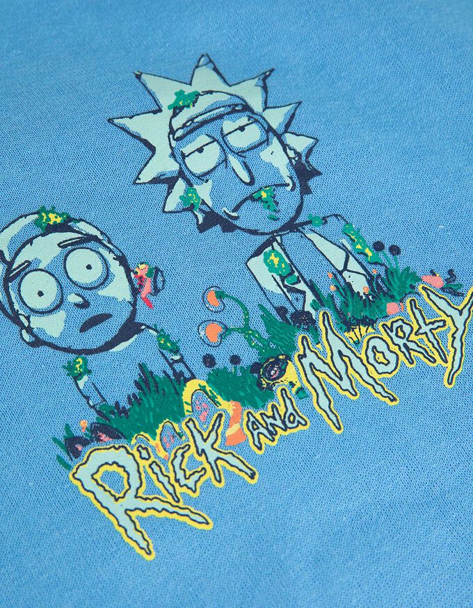 Hoodie - Rick and Morty