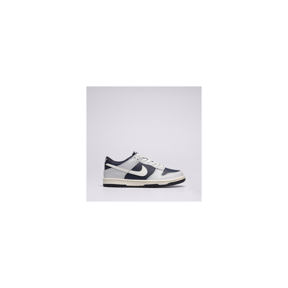Nike Dunk Low GS FB9109-002 / blau