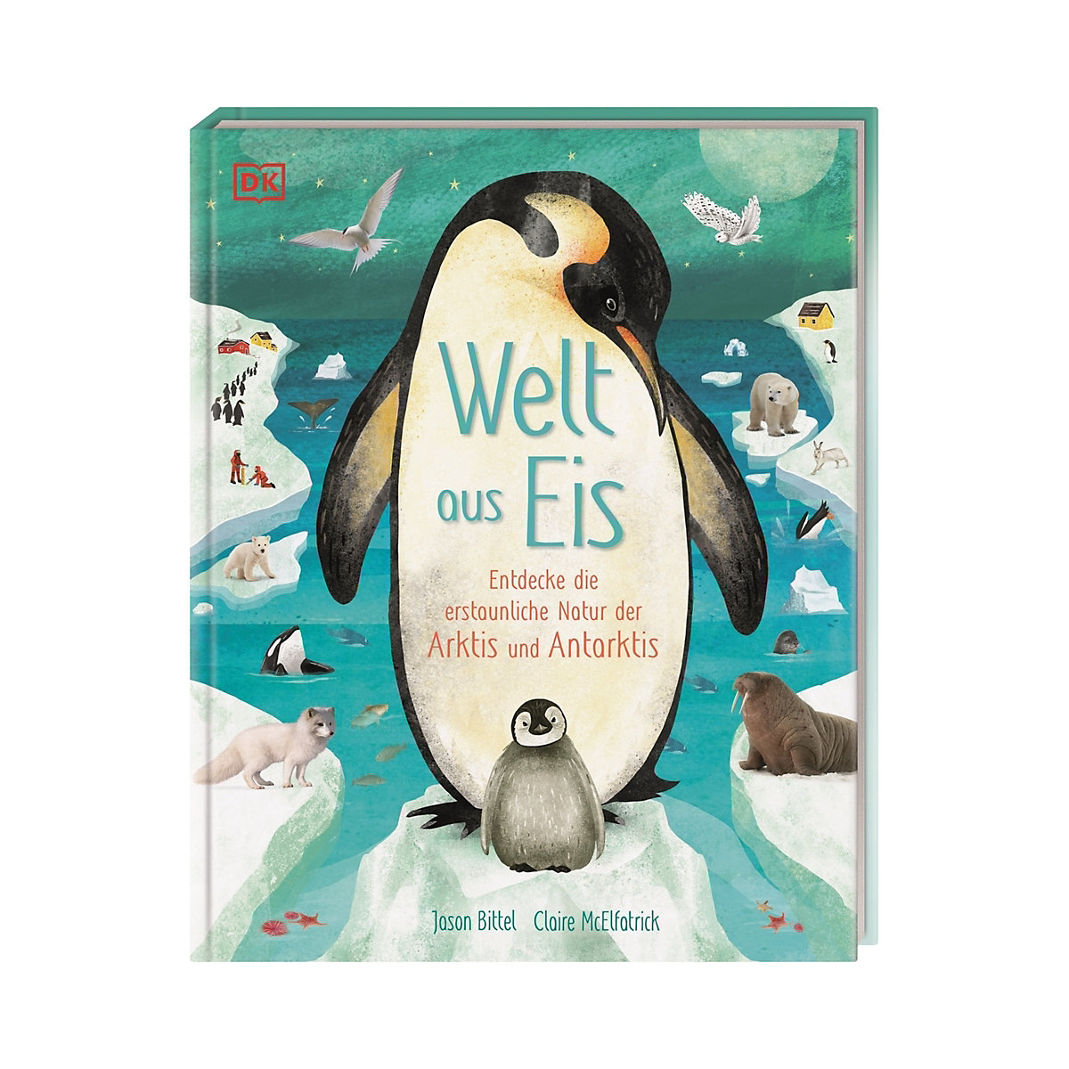 Welt aus Eis