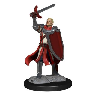 D&D Nolzur's Marvelous Miniatures - Half-Elf Paladin Male
