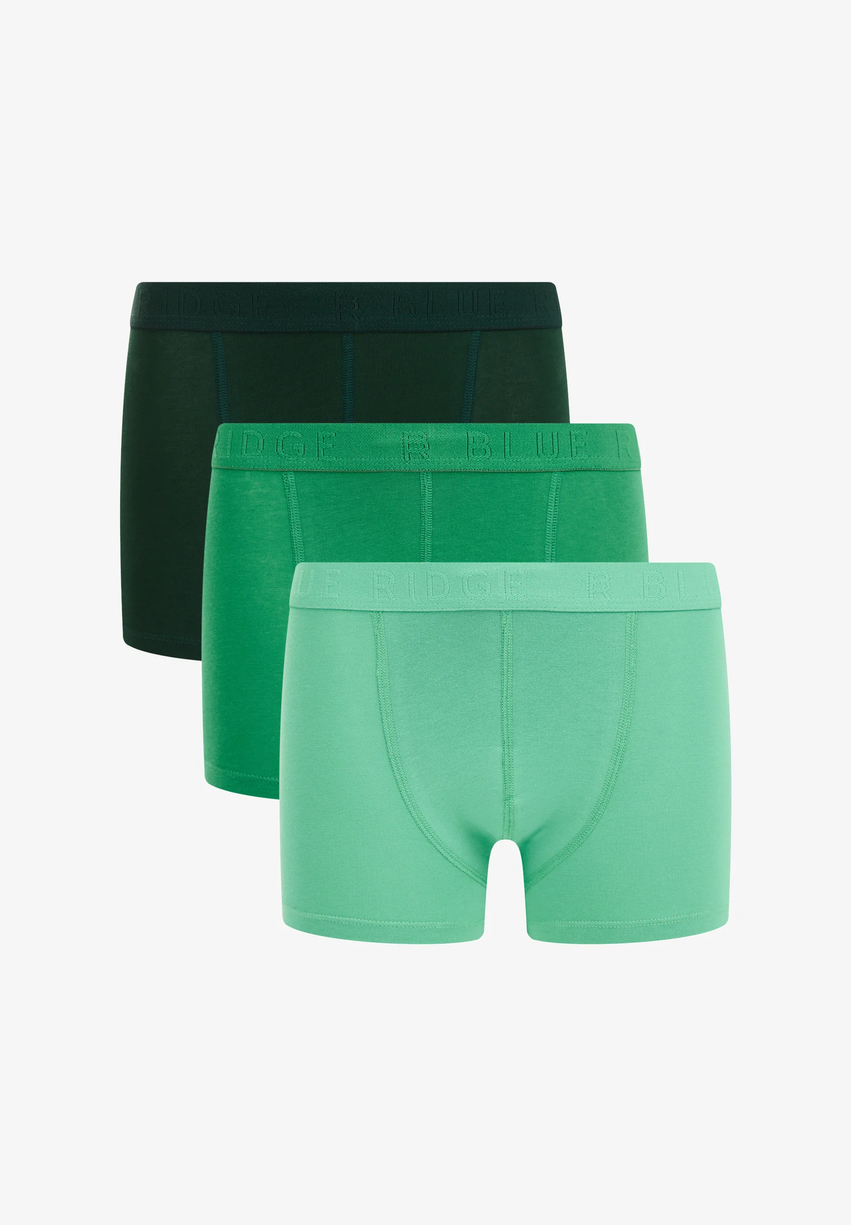 WE Fashion PAQUETE DE 3 - Culotte