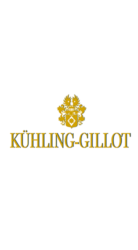 2022 QVINTERRA® Riesling - VDP.Gutswein feinherb Bio - Weingut Kühling-Gillot