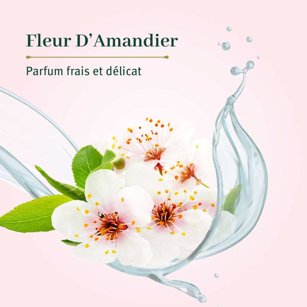 le petit olivier Gelée de Douche Fleur d'Amandier Gelée de Douche