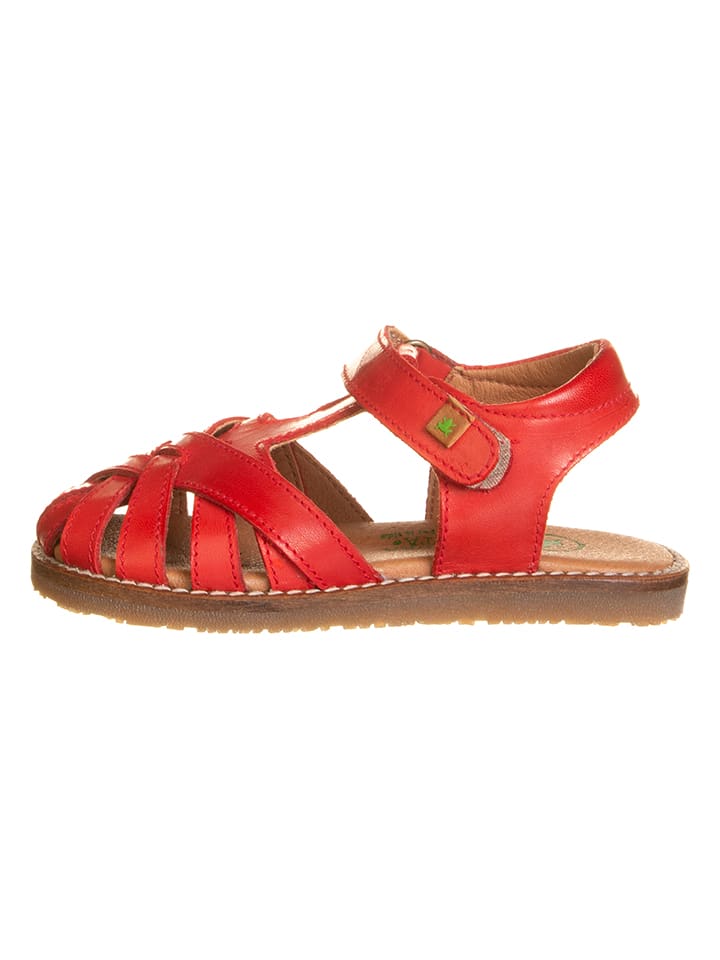 El Naturalista Leder-Halbsandalen 