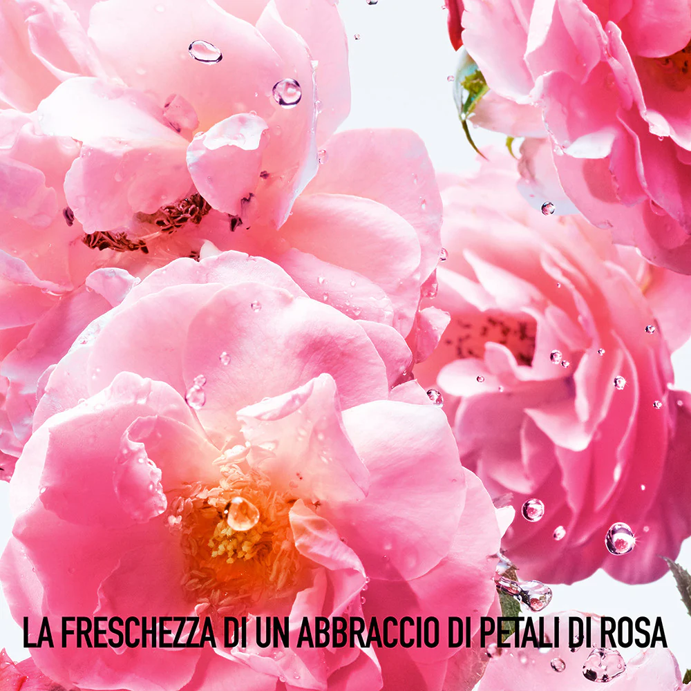 Miss Dior Miss Dior Rose N'Roses - Eau de Toilette