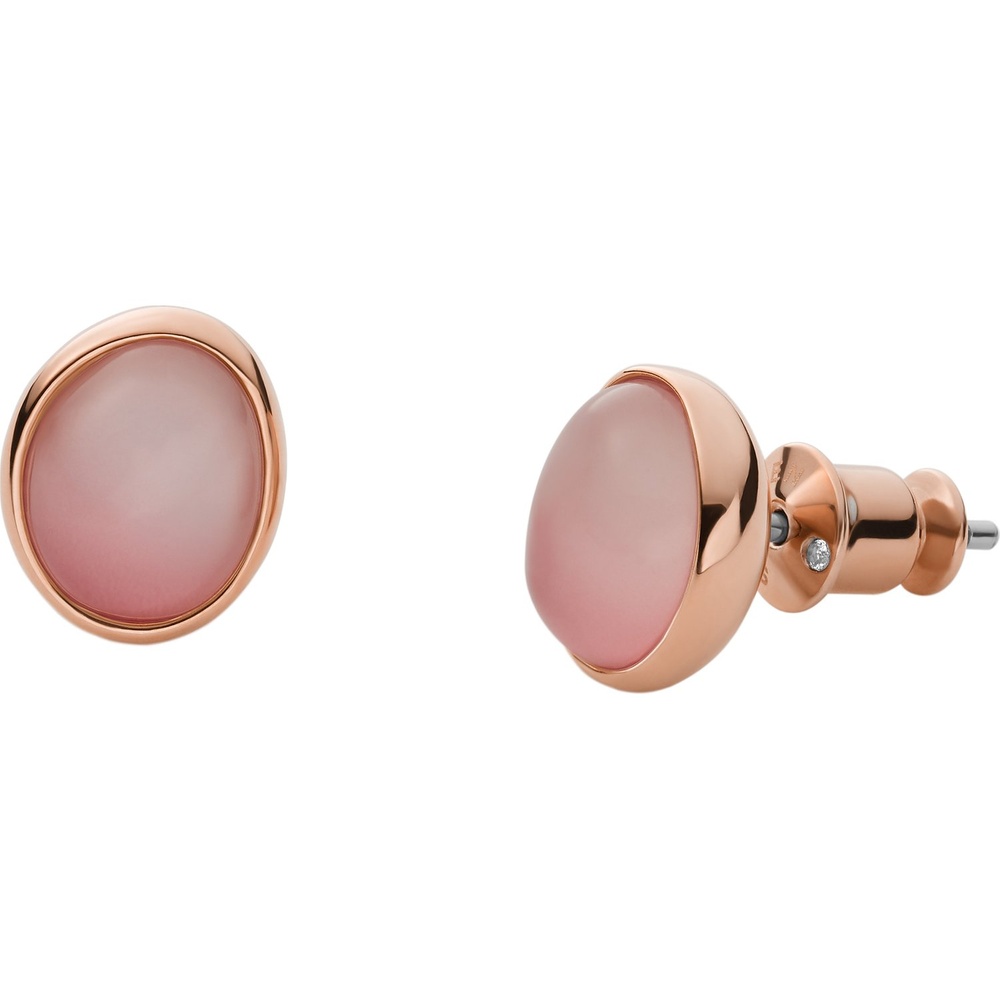 Skagen Boucles d'oreilles à fermoir à poussette Acier inoxydable Boucles d'oreilles