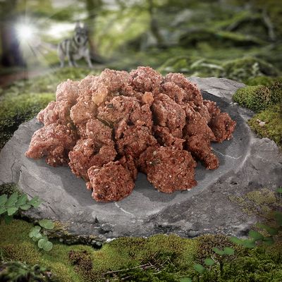Wolf of Wilderness Adult 6 x 400 g - Single Protein