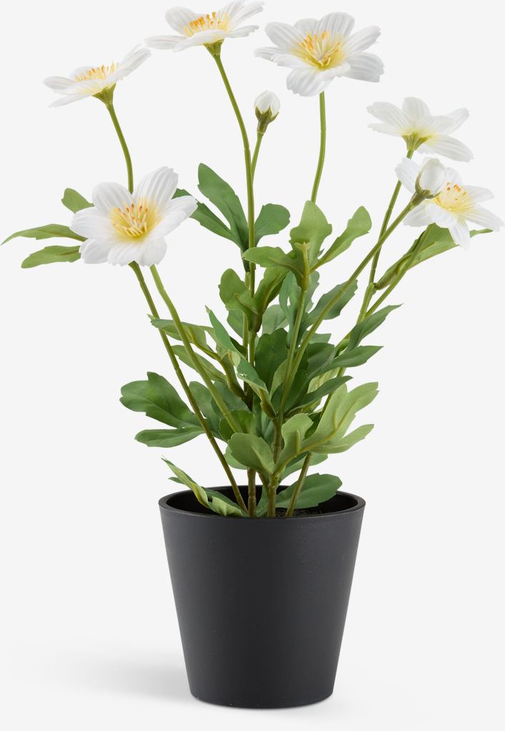 EINERT Kunstig plante EINERT Ø18xH32cm med potte