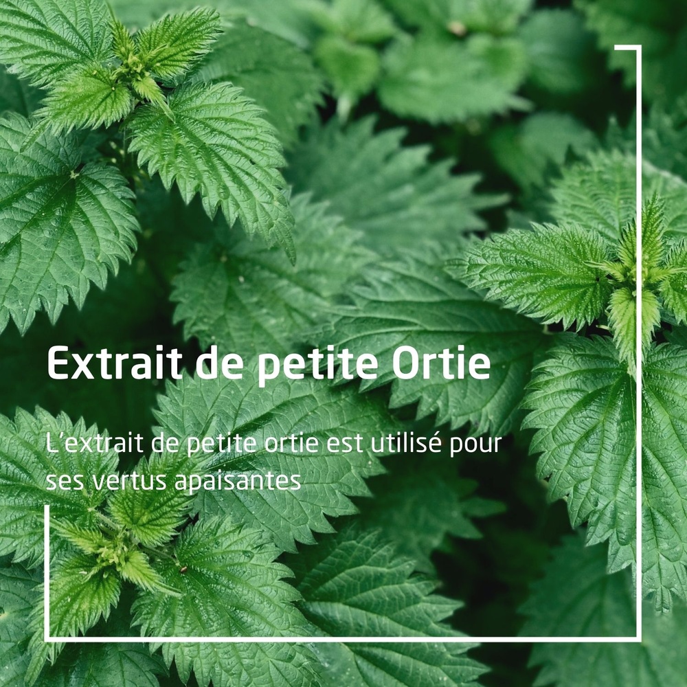 WELEDA Urtigel Produits conseils