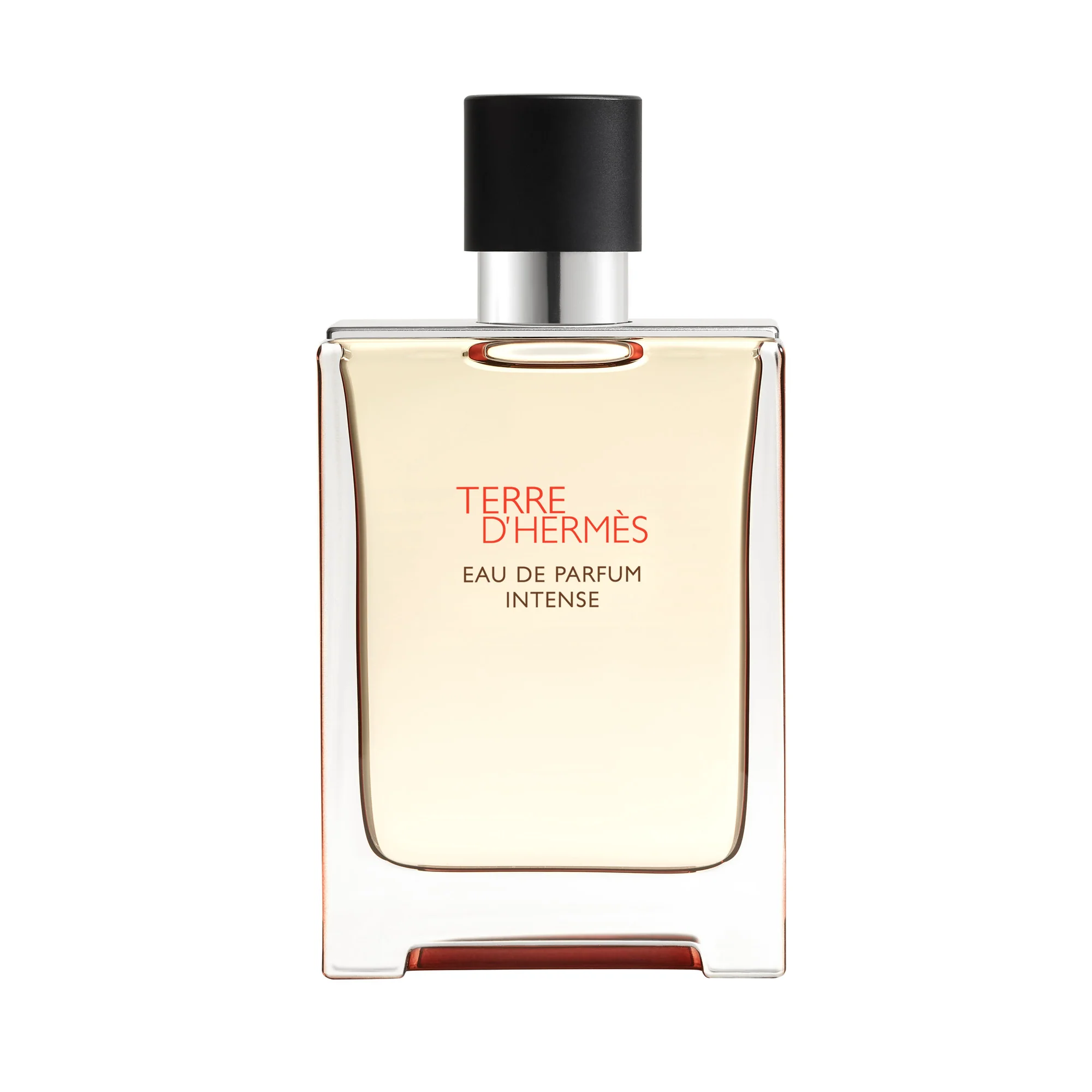 Terre d'Hermès Eau de Parfum Intense - Eau de Parfum