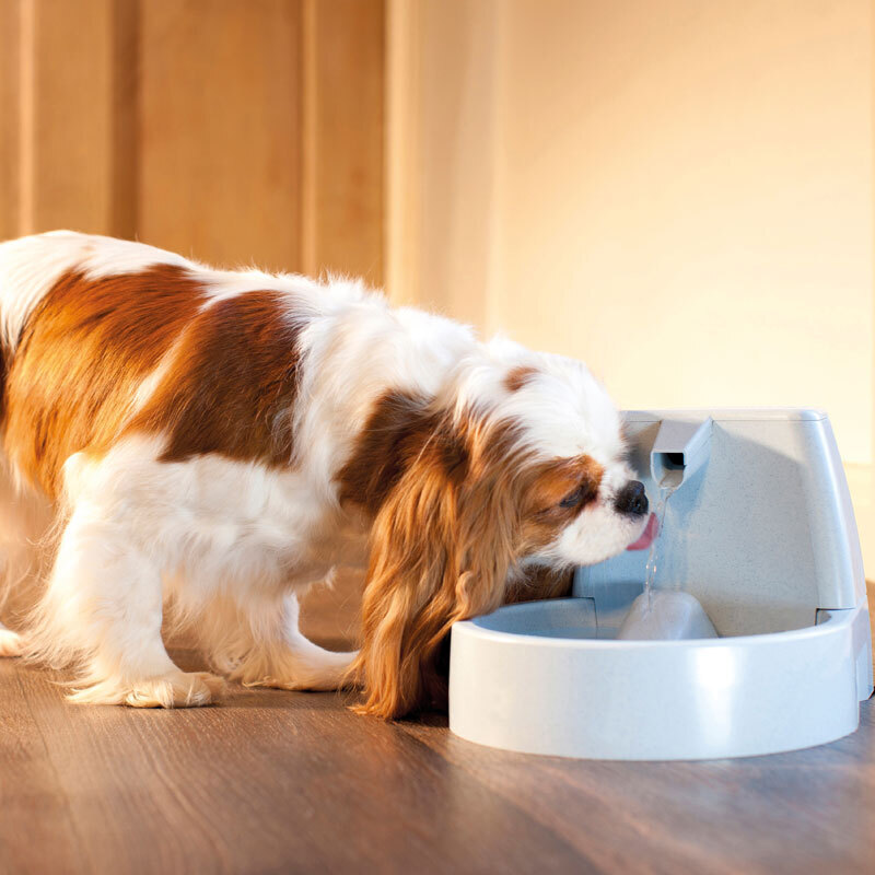 PetSafe Trinkbrunnen PetSafe Drinkwell Trinkbrunnen Original, 1,5 Liter