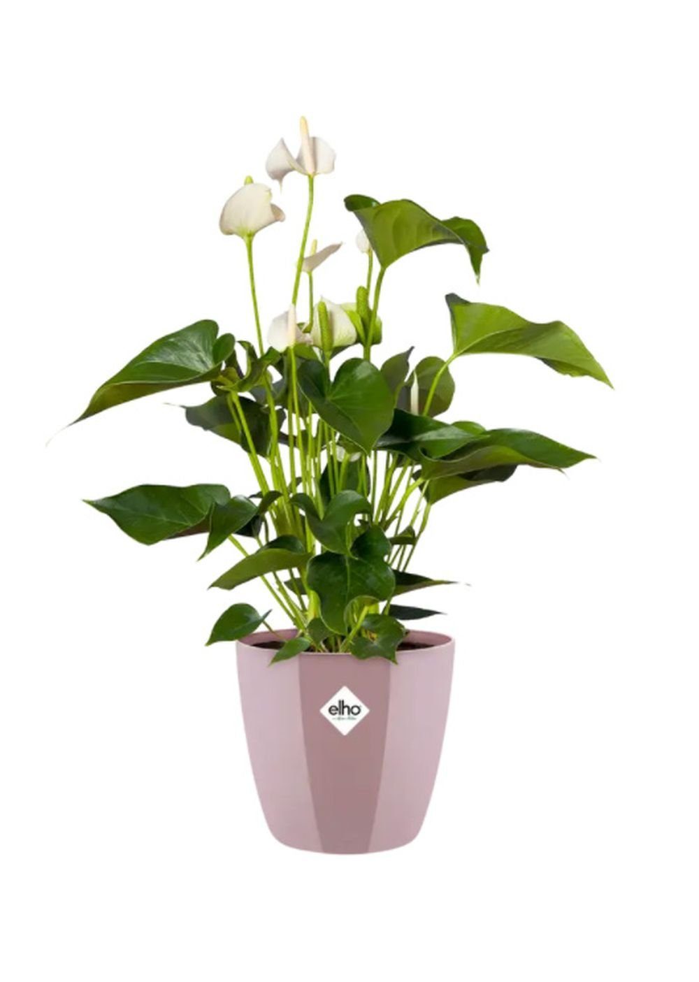 Elho Übertopf brussels diamond rund Ø 14 cm - Ø 29 cm