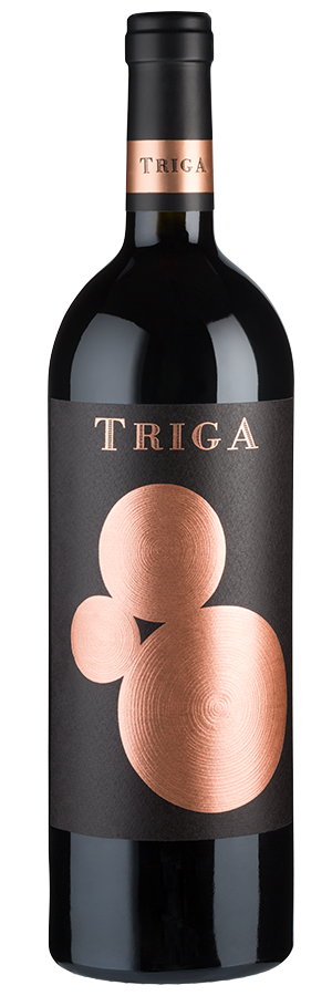 Triga 2019