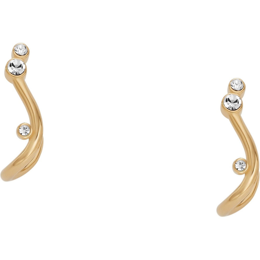 Skagen Boucles d'oreilles à fermoir à poussette Acier inoxydable Boucles d'oreilles