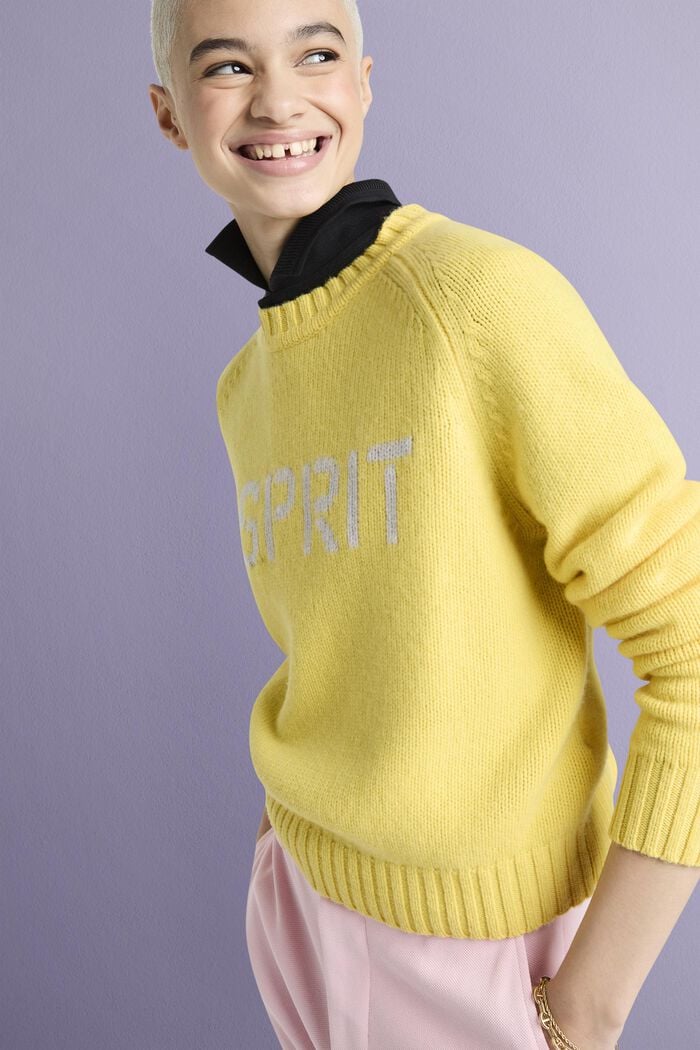 Logo-Pullover aus Wolle und Kaschmir
