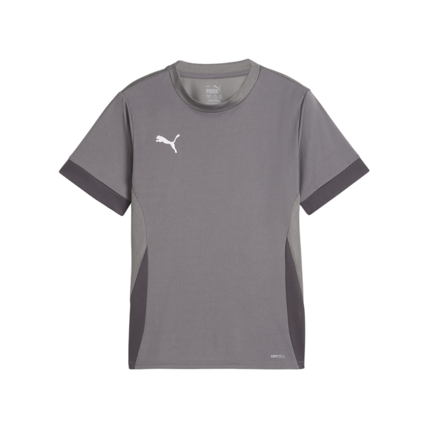 PUMA teamGOAL Matchday Trikot Kids Grau Weiss F13