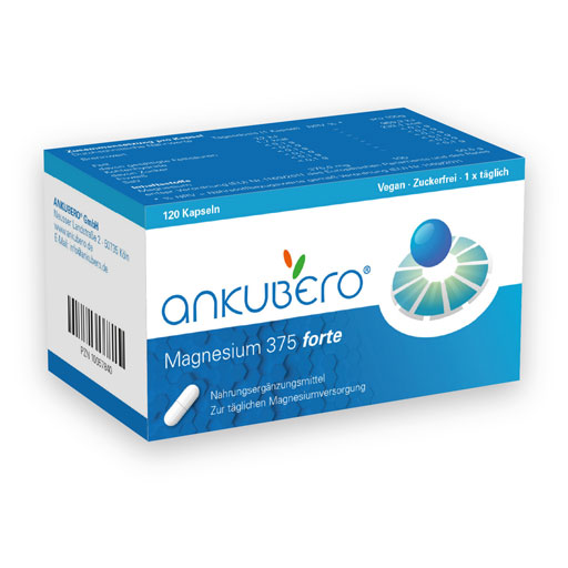 MAGNESIUM 375 forte Kapseln  120 St  Kapseln