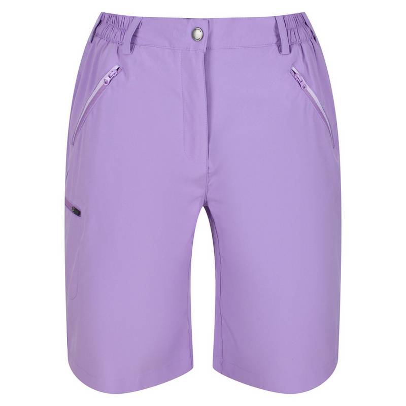 Regatta Xert It Shorts Damen