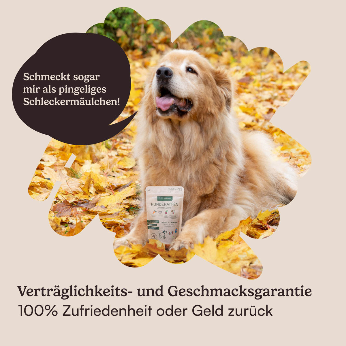 Hunderunde Snacks Hunderunde Probierpaket vegane Snacks