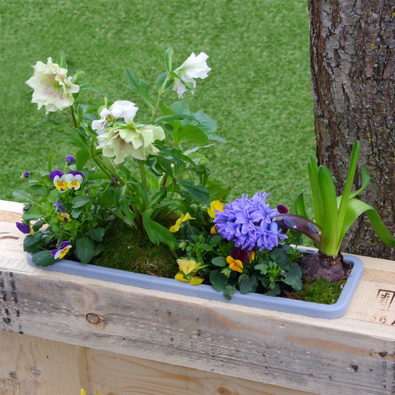 GreenLife Blumen- / Kräuterbox 10 Stück, terrabraun, komplett