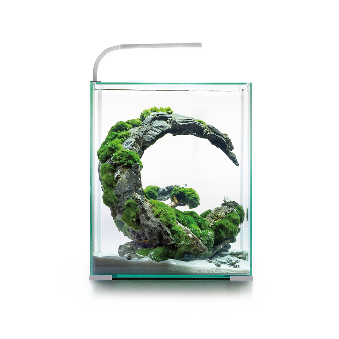 AquaEL Nano-Aquarien AquaEL Shrimp Set Day & Night 30 weiß