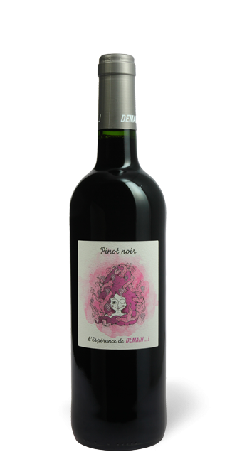 Languedoc-Roussillon Domaine de Gournier Demain ! pinot noir IGP Cévennes  2020  75 cl - Rouge