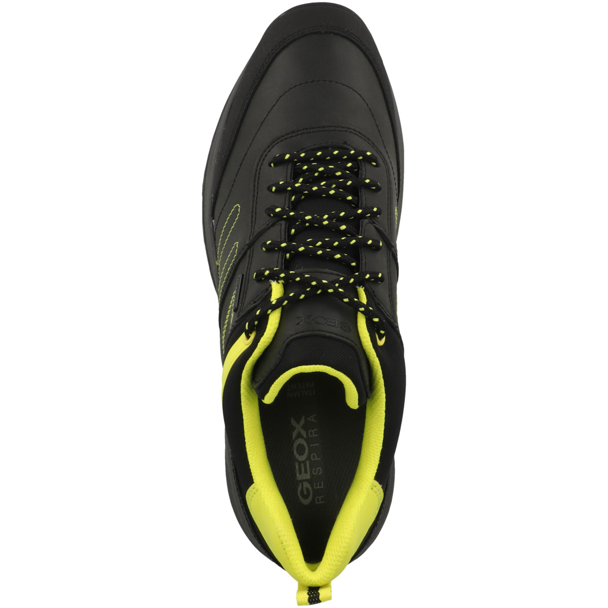 Geox U Terrestre B Wpf A Sneaker Low schwarz