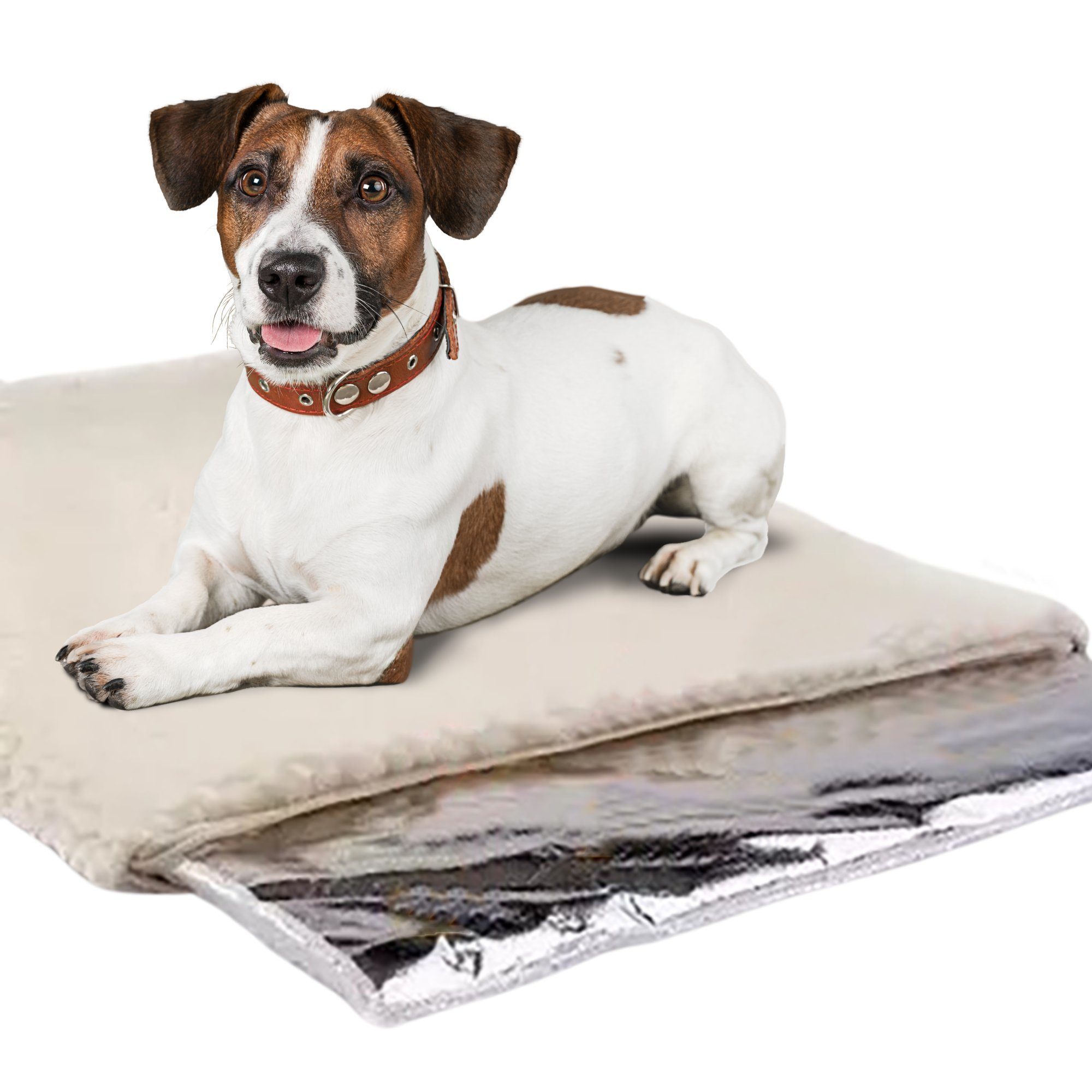 Angel's Pride Tierdecke Wärmedecke für Katzen und Hunde Selbstheizend Größe: 64x49cm, Fleece, isolierend, speichert wärme