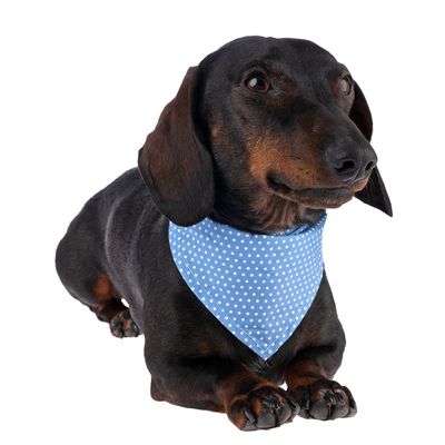 Bandana Set