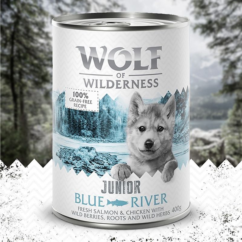 Little Wolf of Wilderness Junior 6 x 400 g - Duo-Protein