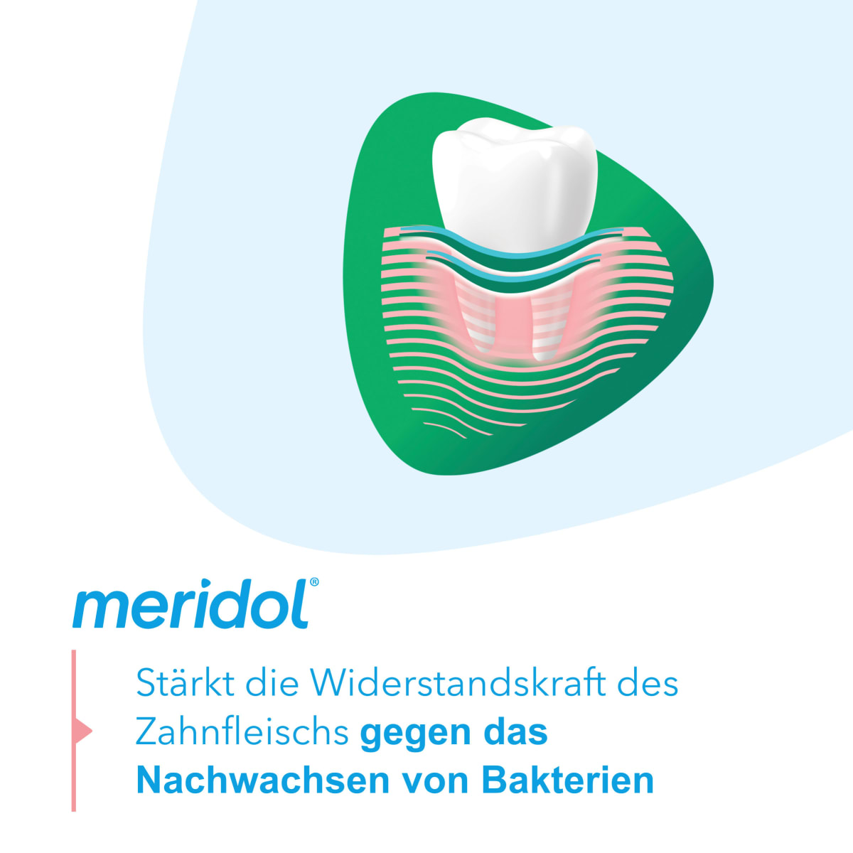 Mundspülung Zahnfleischschutz & frischer Atem, 400 ml