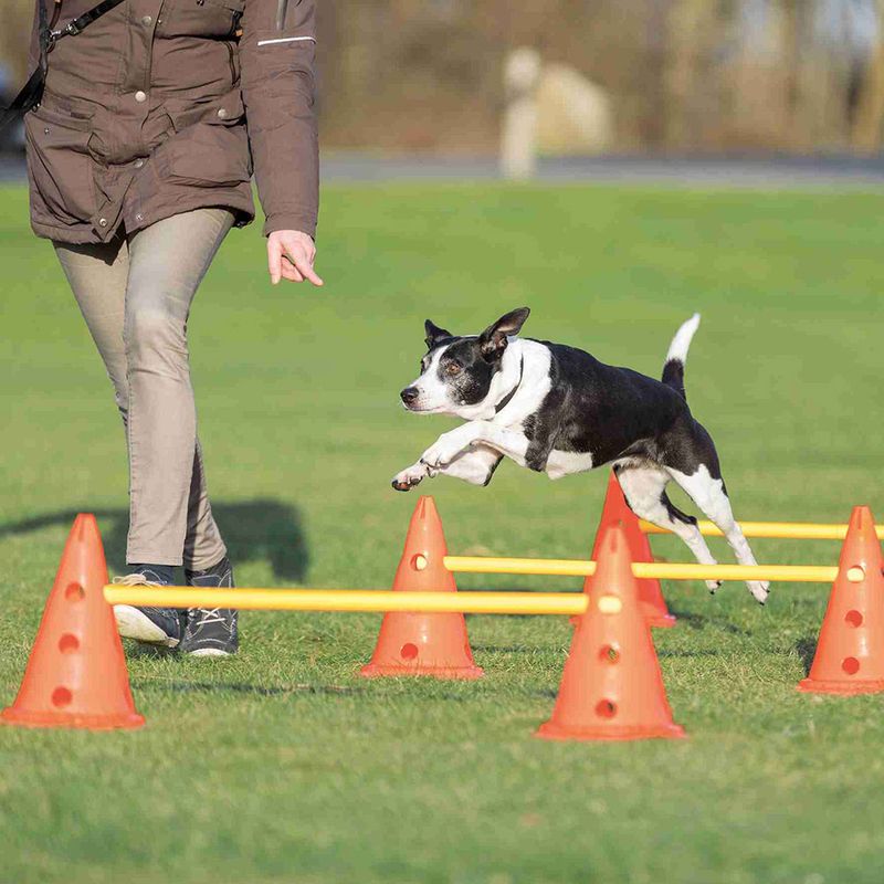 Trixie Dog Activity Hindernisse - 3 Stück. zu TOP-Preisen % | bitiba
