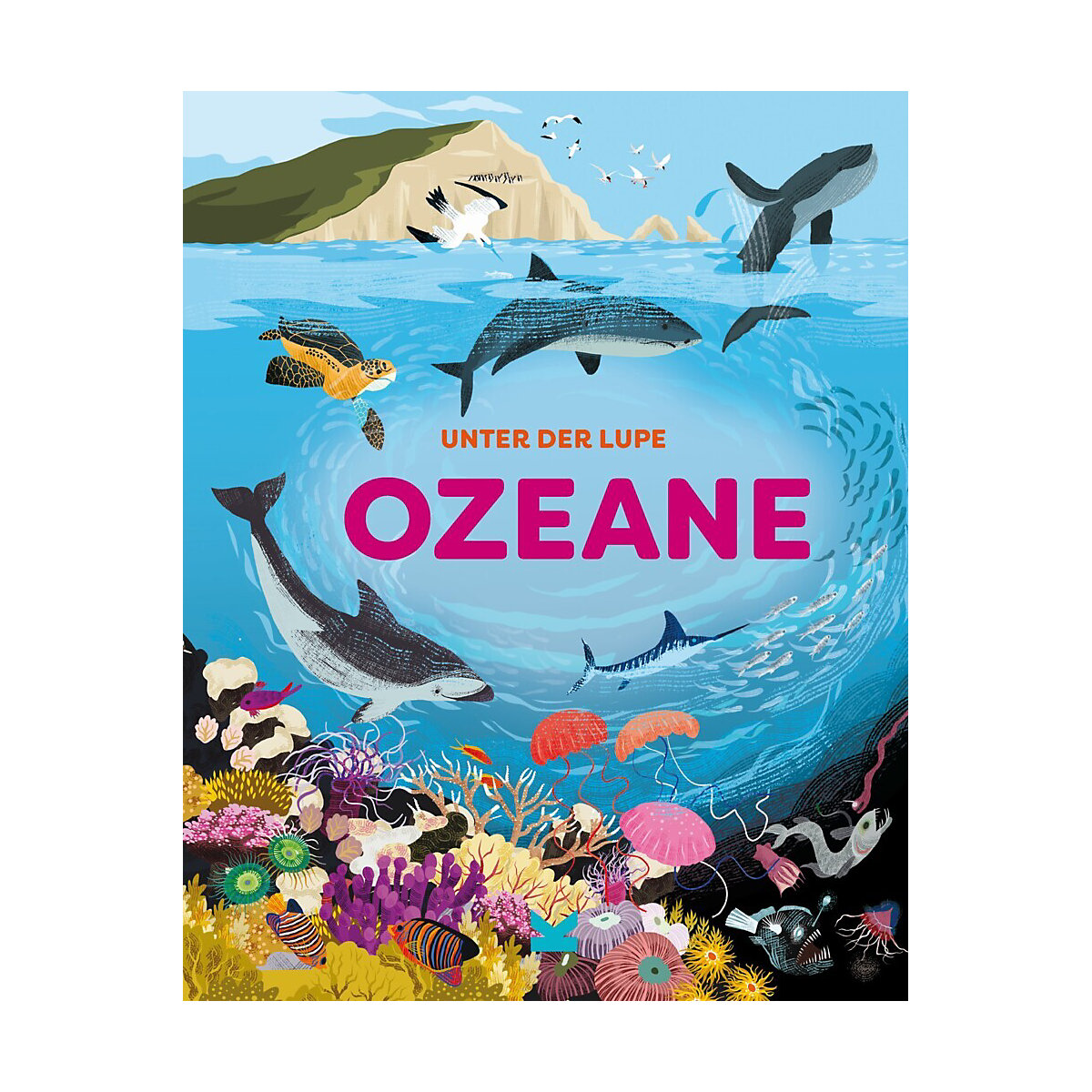 Unter der Lupe: Ozeane