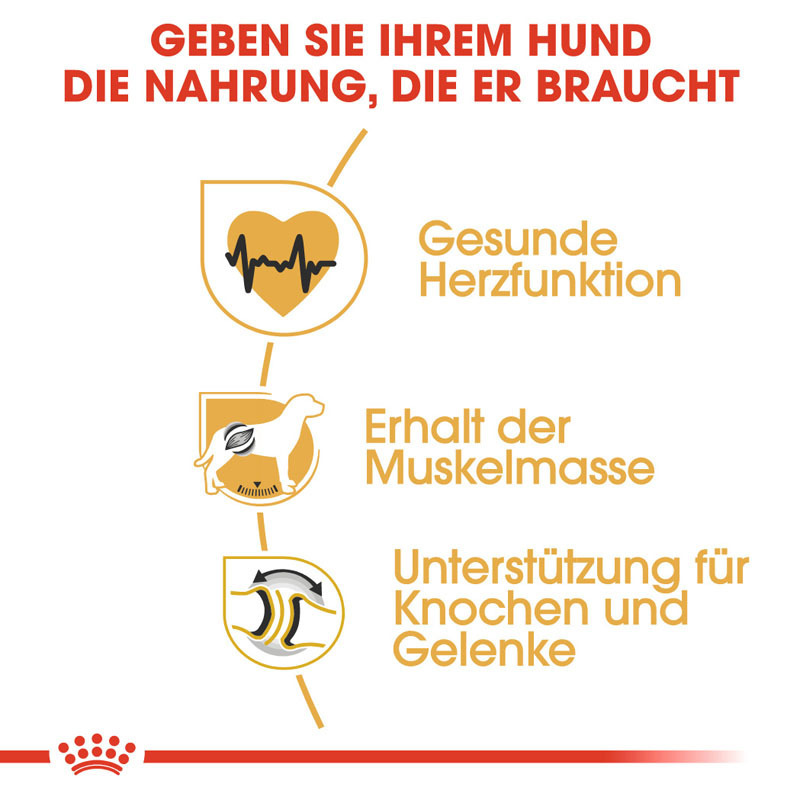 ROYAL CANIN Hundetrockenfutter ROYAL CANIN Rottweiler Adult 12 kg