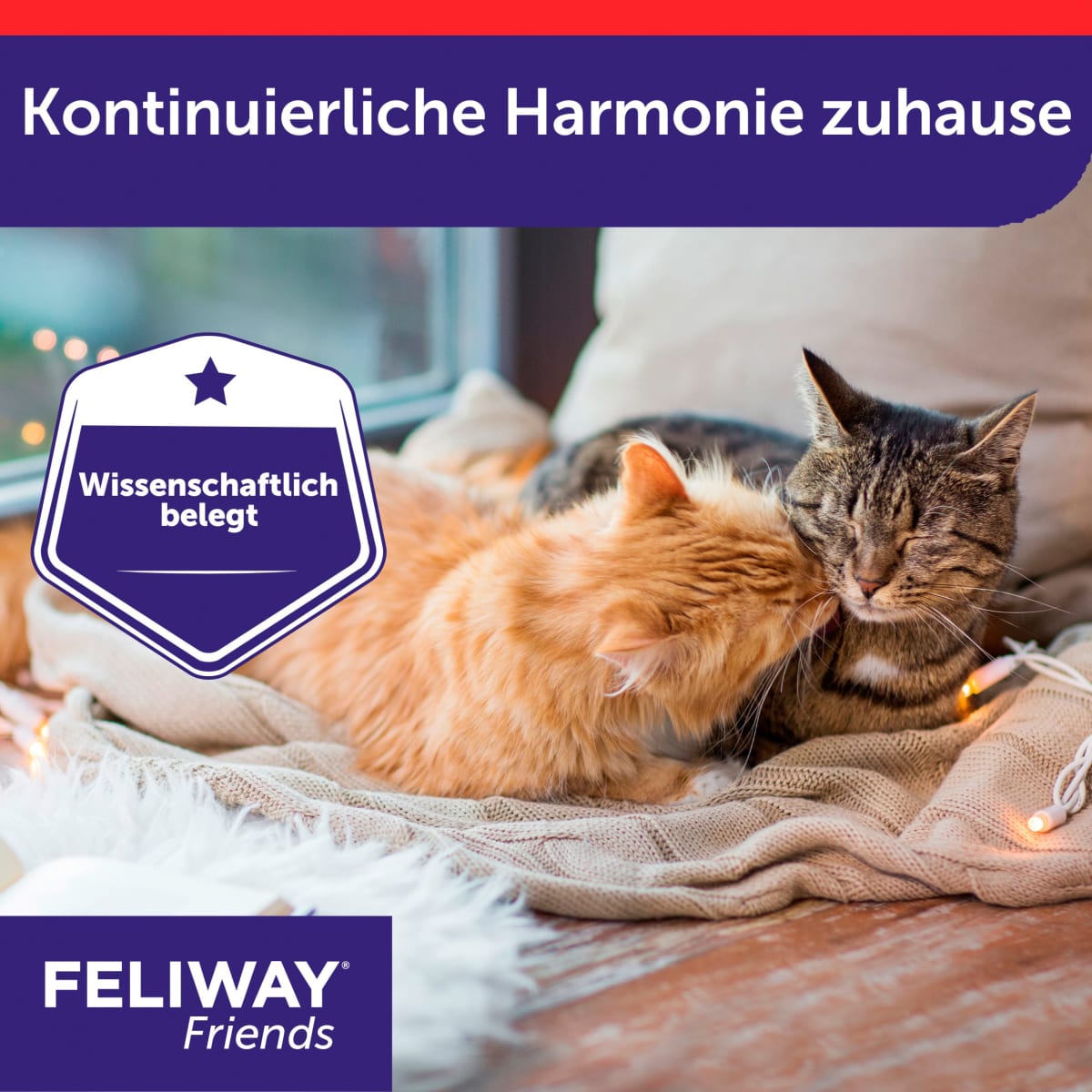 Pheromonverdampfer Starter Set \Friends\ für Katzen, 48 ml