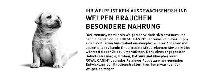 ROYAL CANIN Hundetrockenfutter ROYAL CANIN Labrador Retriever Puppy 12 kg