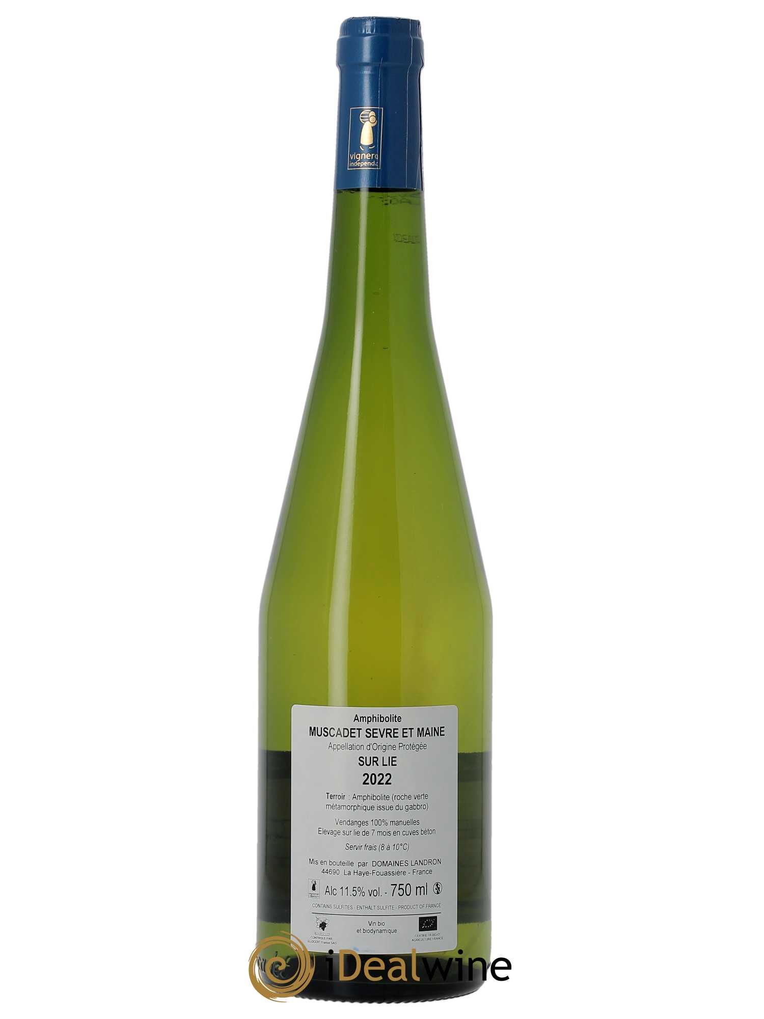 Muscadet-Sèvre-et-Maine Amphibolite Jo Landron  2022 - Lot de 1 Bouteille