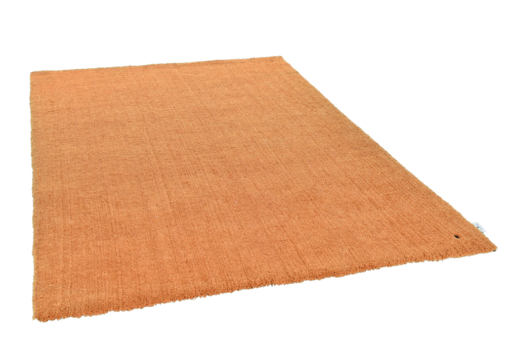 Hochflorteppich Cozy gold