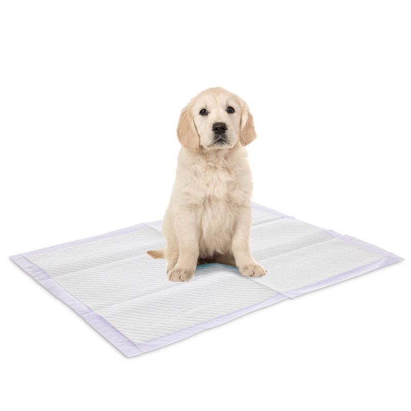 Savic Puppy Trainer Pads mit Lavendelduft