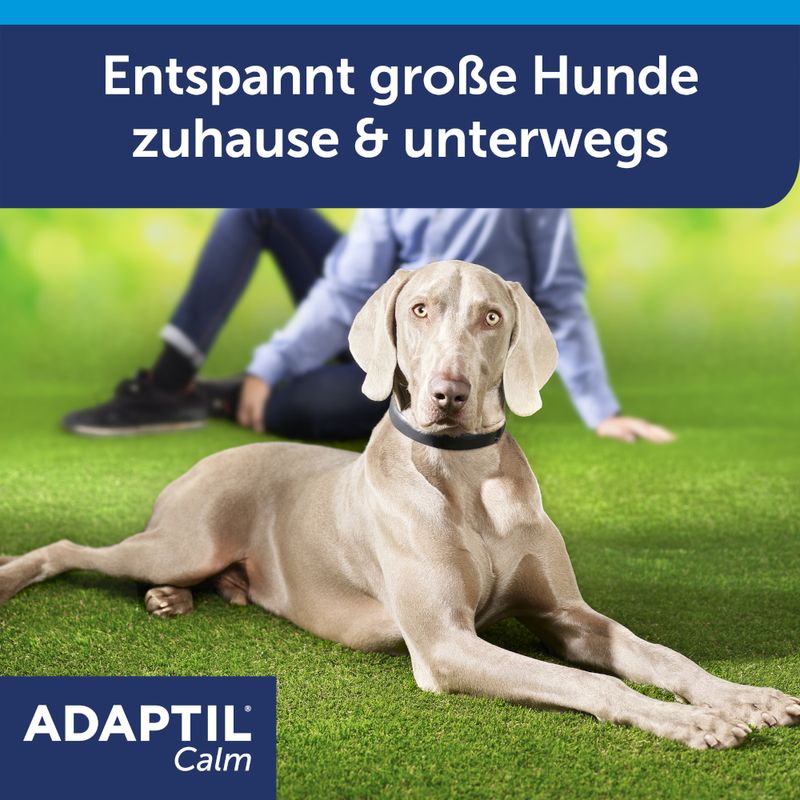ADAPTIL Calm Halsband für Hunde zu TOP-Preisen