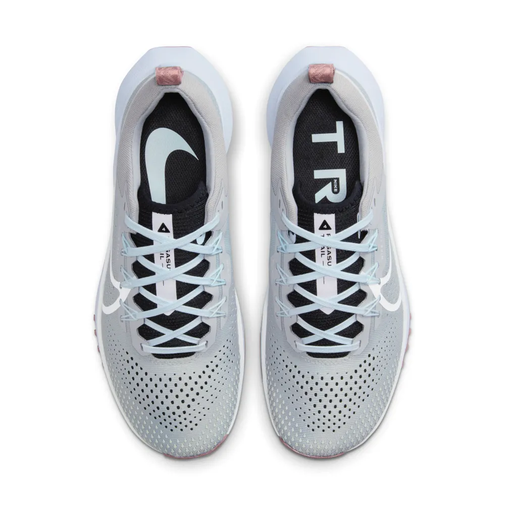 Nike Pegasus Trail 4 React DJ6159-005 / grau