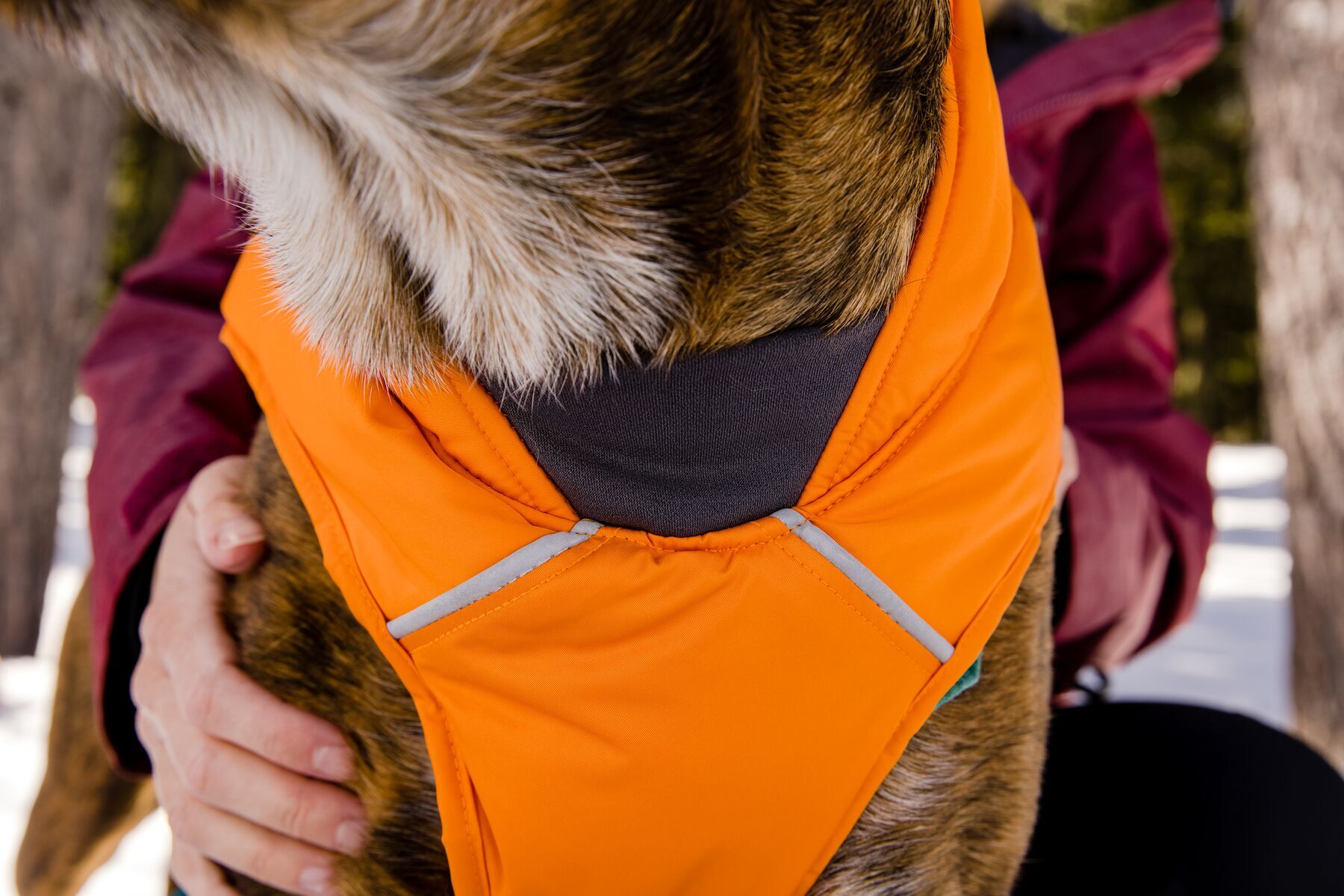 Ruffwear Hundemäntel Ruffwear Quinzee™ Hundejacke orange XS