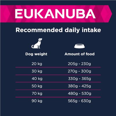 Eukanuba Adult Large Breed Lamb & Rice