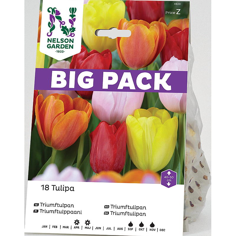 Nelson garden Høstløk Tulipan Triumph blandede