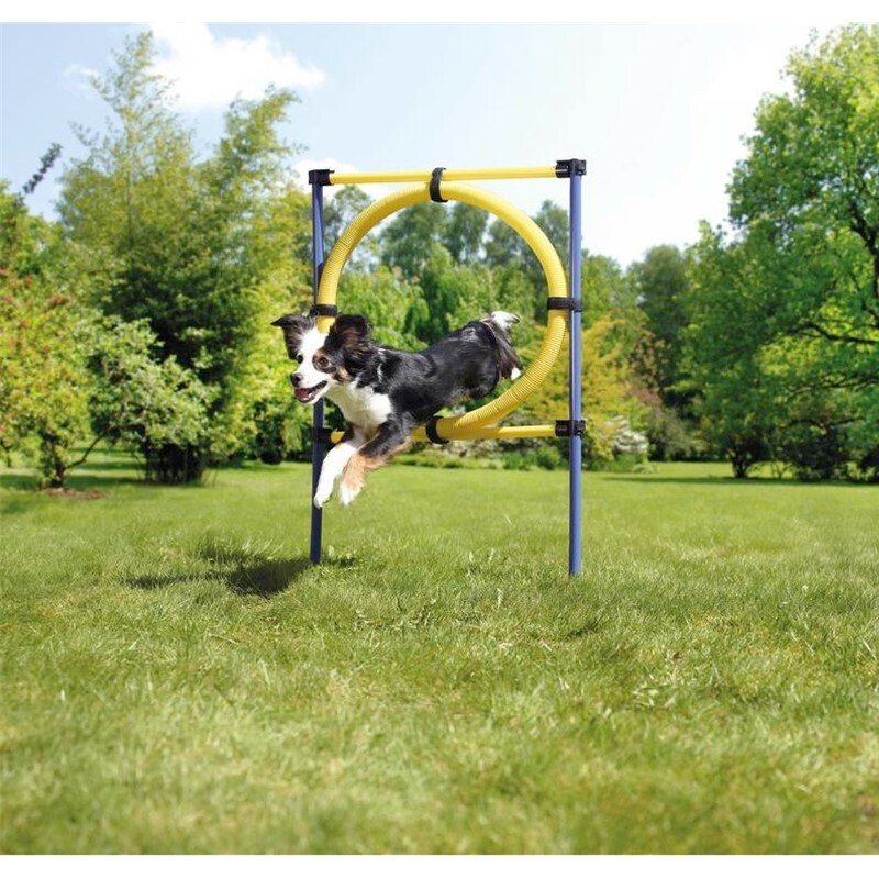 AniOne Agility & Training AniOne Agility Hürde