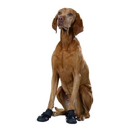 Trixie Hundeschuhe Trixie Pfotenschutz Walker Active S-M