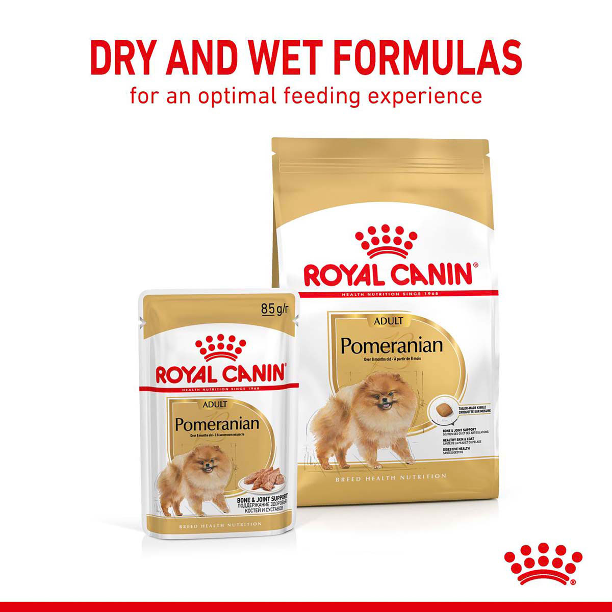 ROYAL CANIN POMERANIAN ADULT Trockennahrung für ausgewachsene Zwergspitze (>8 Monate)