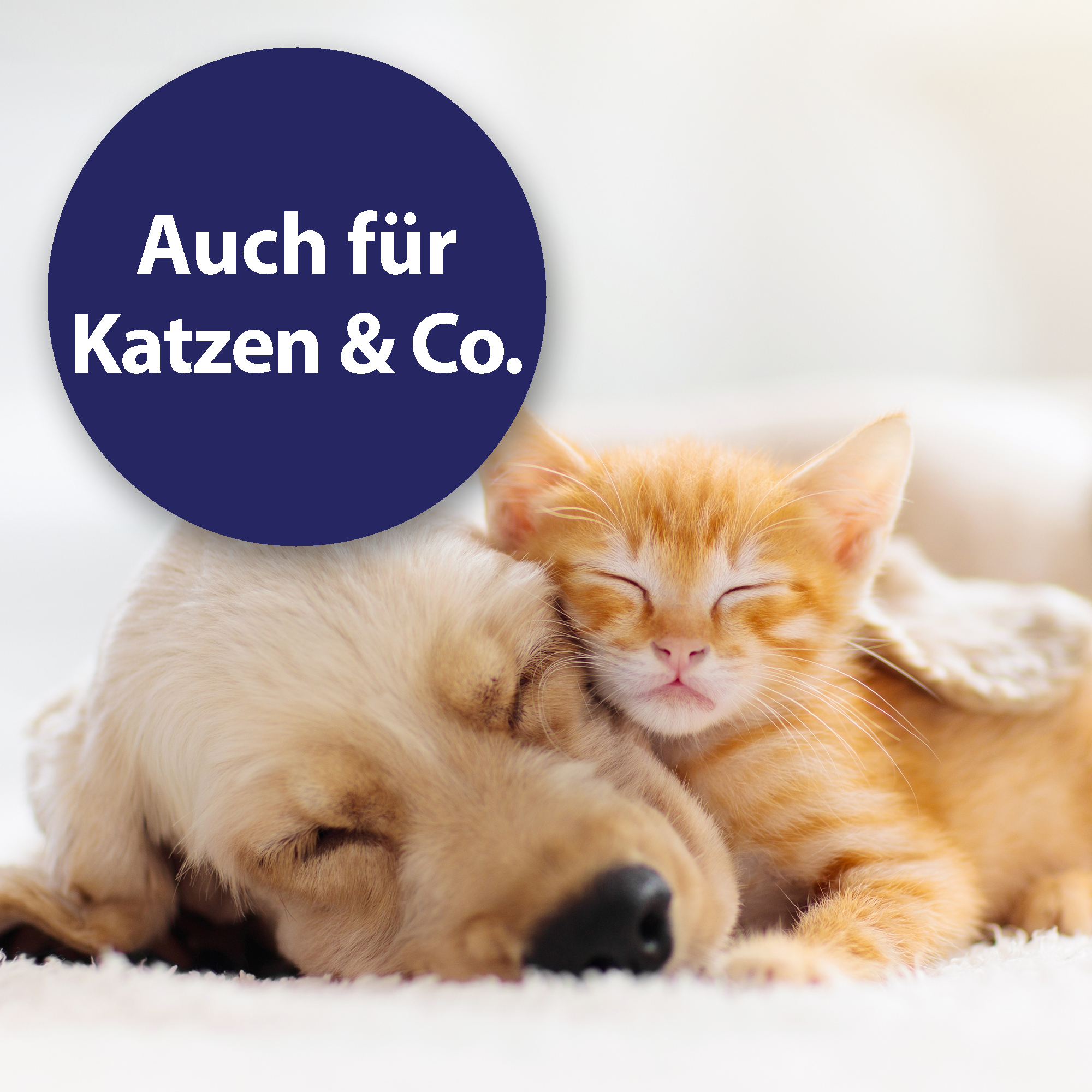 Canosept Fellpflege Canosept Wundspray für Hunde 75 ml