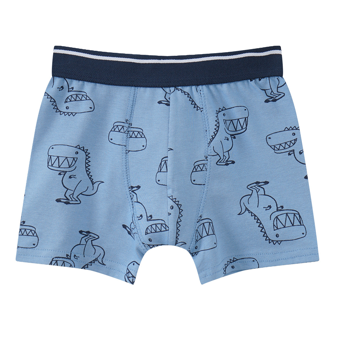 5 Jungen Boxer in verschiedenen Dessins